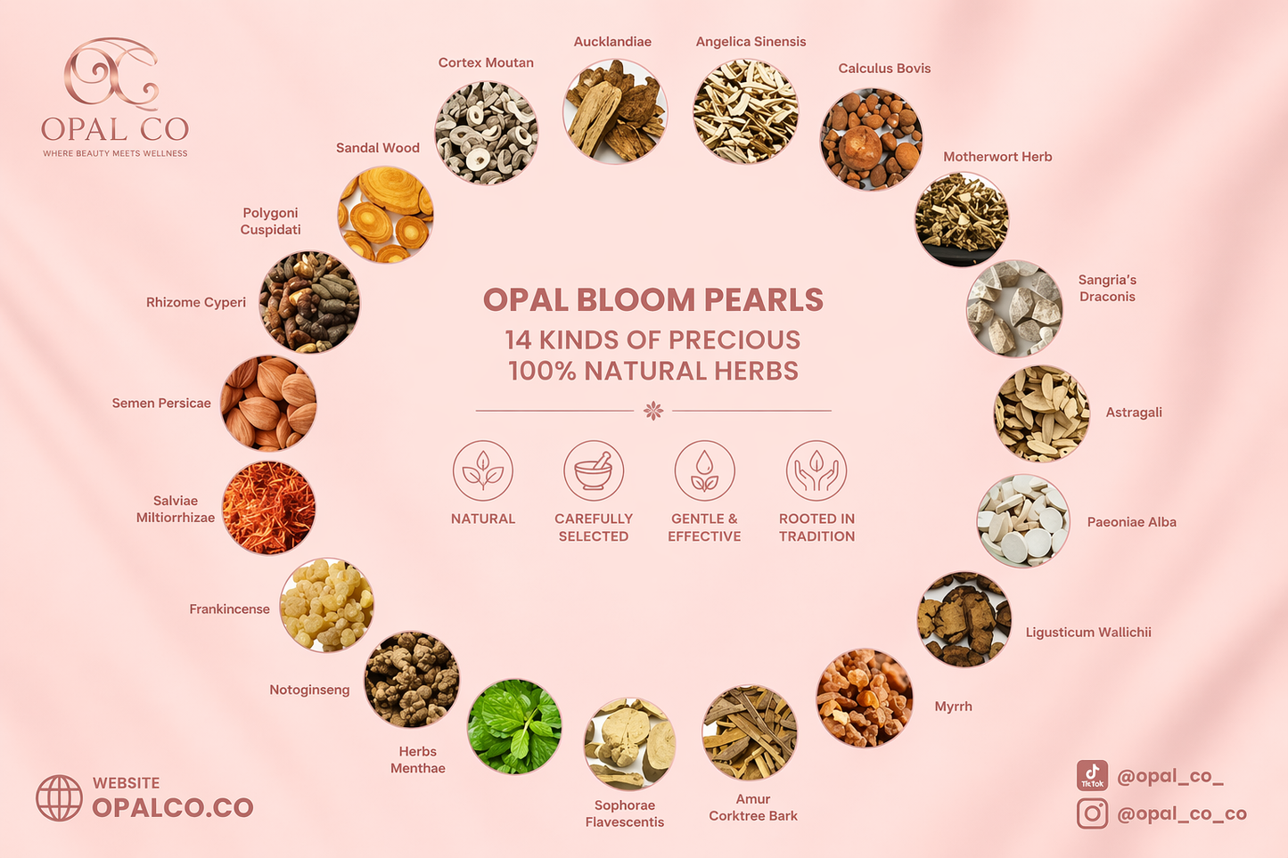 🌸 Opal Co. Feminine Wellness Bundle (yoni Pearls + Intimate Wash)